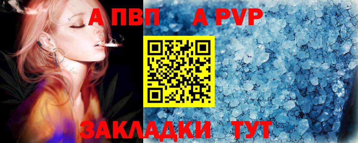 Alfa_PVP СК КРИС Коряжма