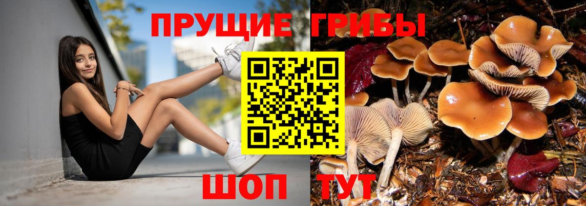 Галлюциногенные грибы MAGIC MUSHROOMS  Галлюциногенные грибы GOLDEN TEACHER  Вход с VPN  Коряжма 