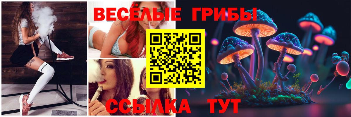 Псилоцибиновые грибы прущие грибы Коряжма